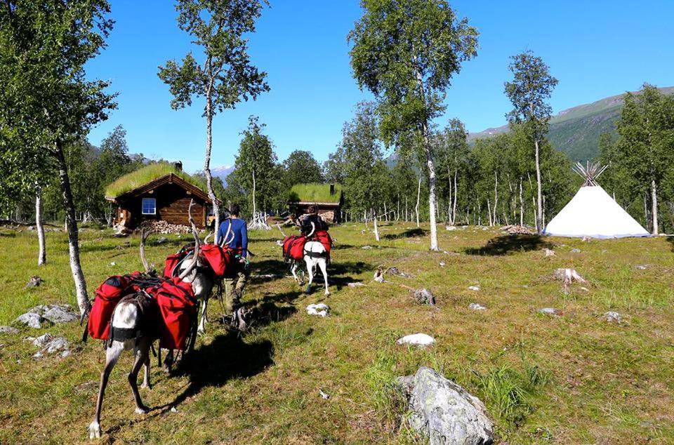 Bardu Huskylodge Exterior foto